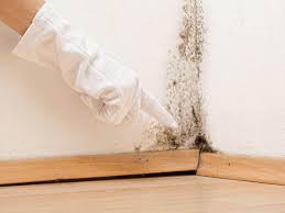 Best Mold Damage Restoration  in Walnut, CA